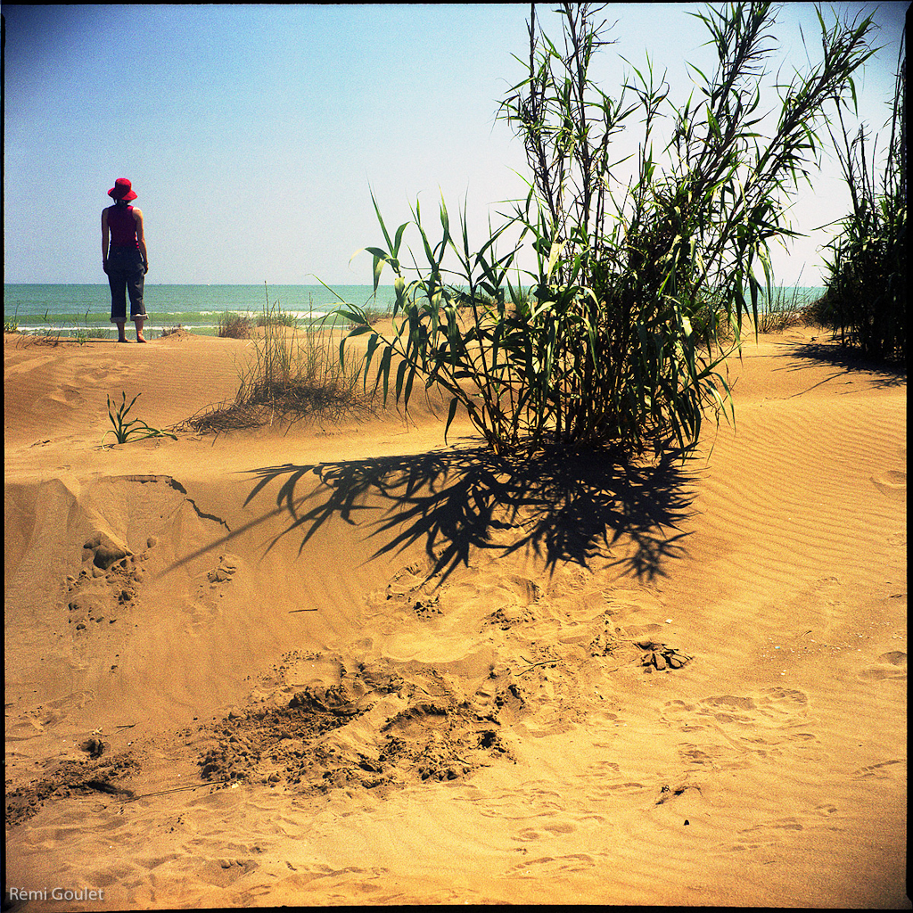 la fin de l'amour, Delt'ebre  //  Semflex Oto