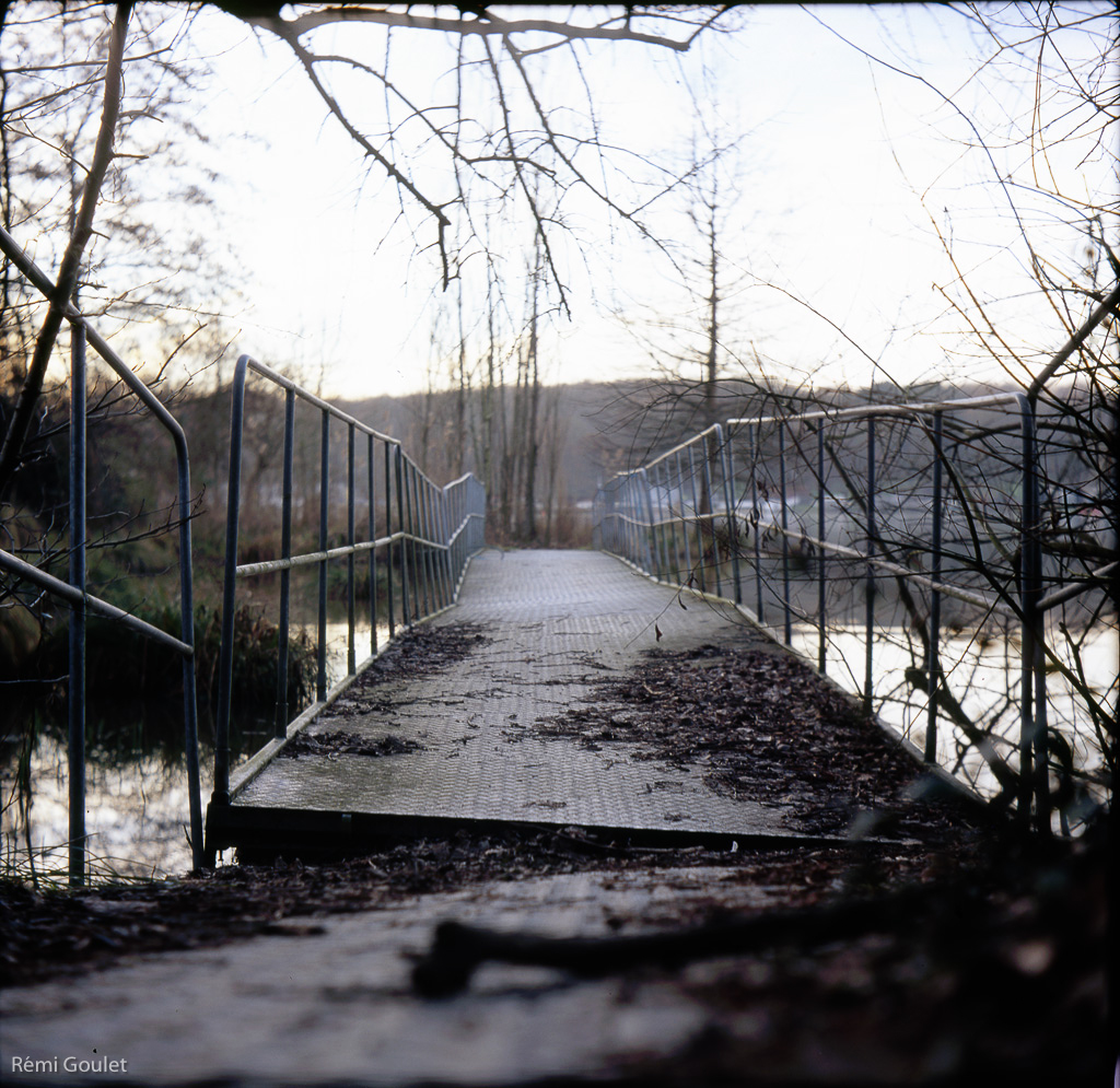 Les bords de l'Erdre, Nantes  //  GreatWall Df2