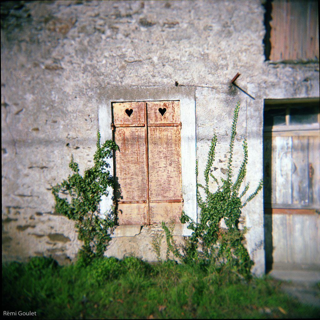 Basse-Goulaine  //  Holga 120GN